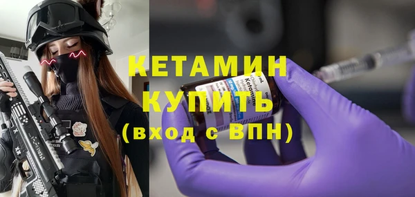 стаф Каменка