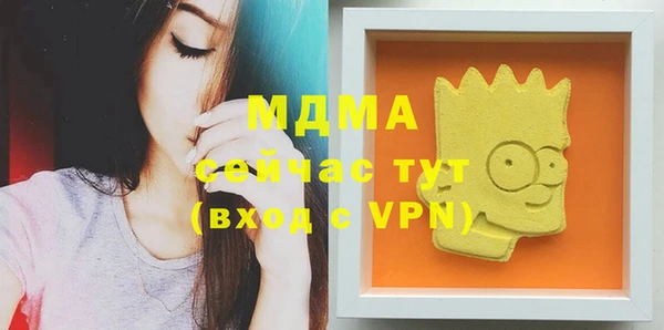 стаф Каменка