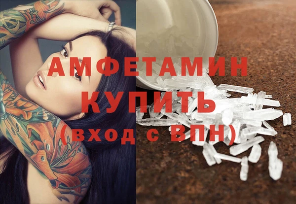 стаф Каменка