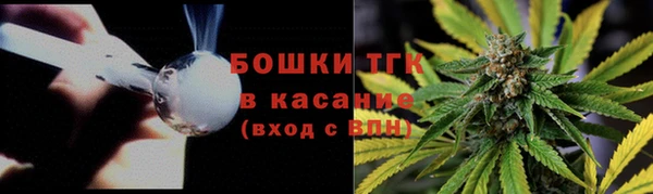 стаф Каменка
