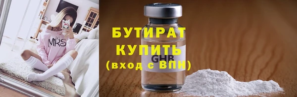 стаф Каменка