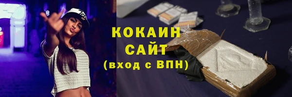 стаф Каменка