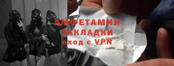 стаф Каменка