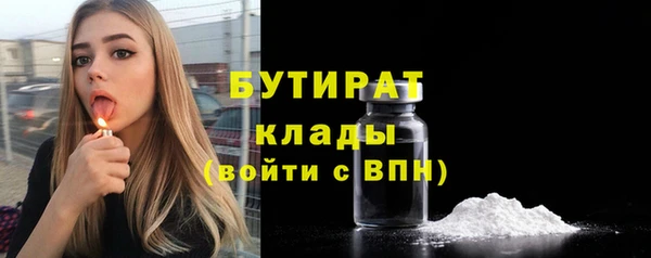 стаф Каменка