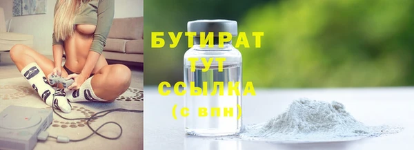 стаф Каменка