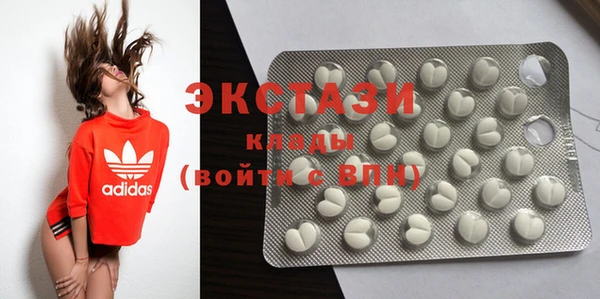 стаф Каменка