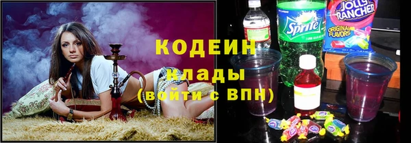 стаф Каменка