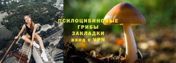стаф Каменка
