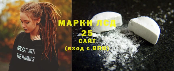 стаф Каменка
