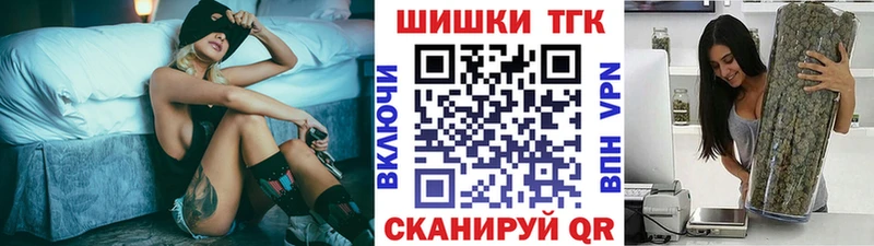 Купить закладки  Петухово  Каннабис сатива 